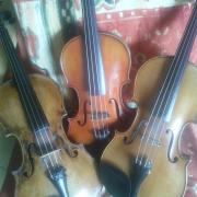 violons